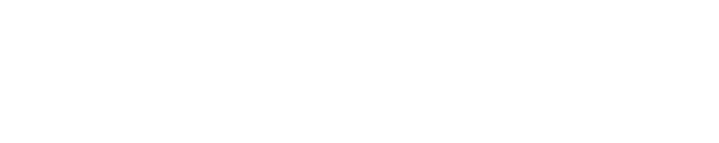 ViPPERLAND合同会社
